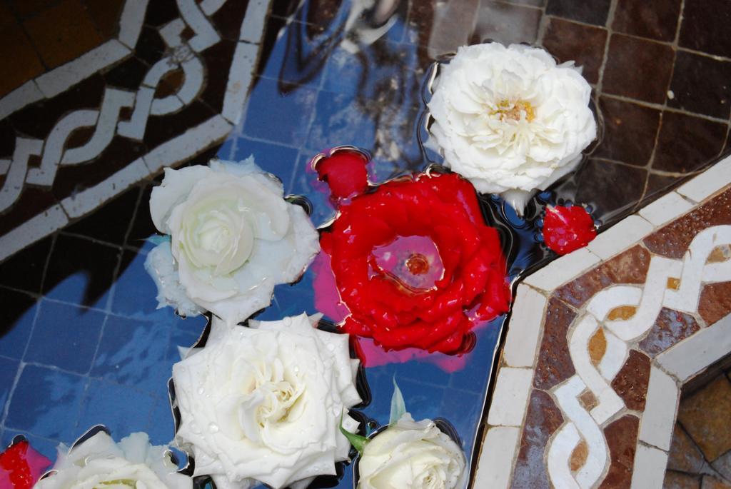 Riad Viva Marrakesh Esterno foto Roses at the fountain